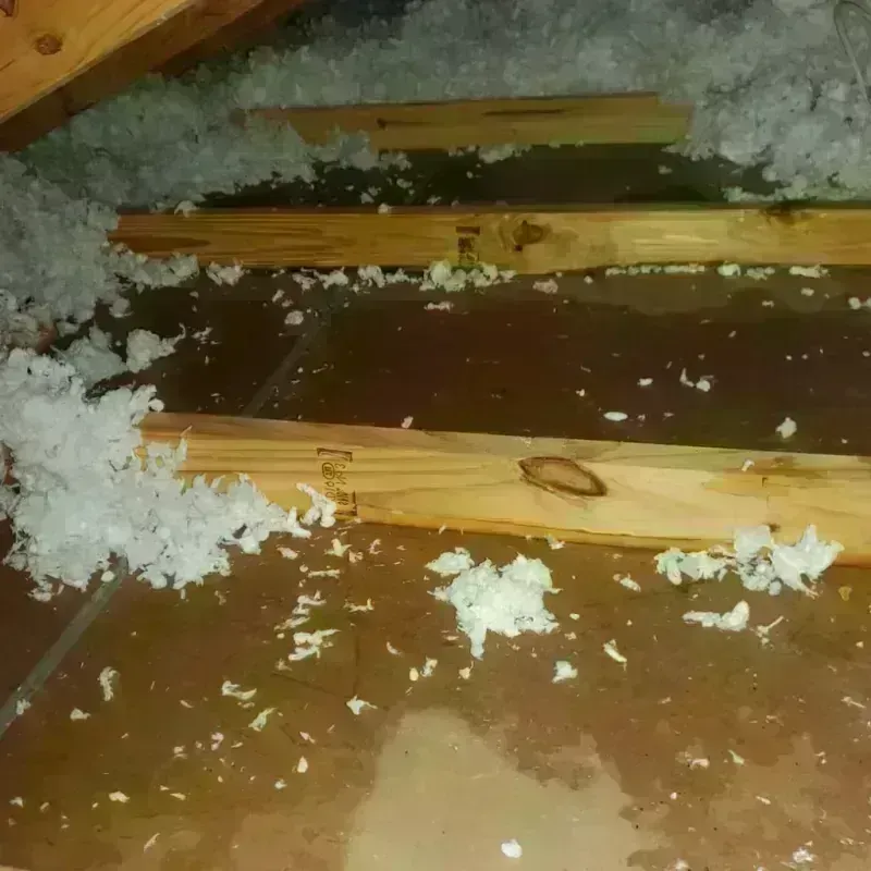 Attic Water Damage in San Marino, CA