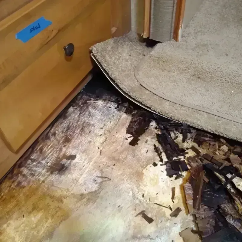 Wood Floor Water Damage in San Marino, CA